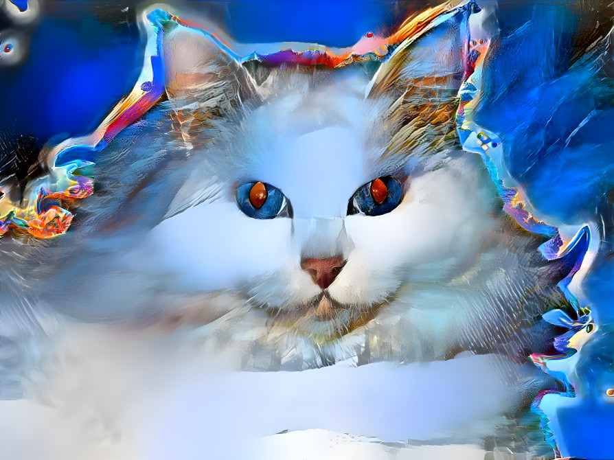 ice cat