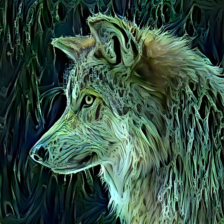 Wolf 1