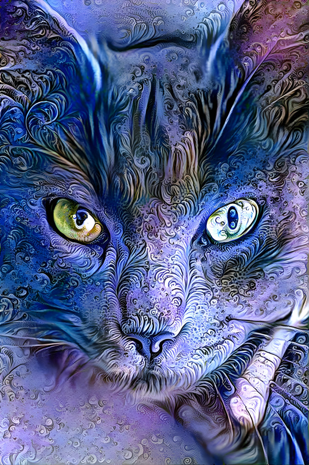 Cats Eyes