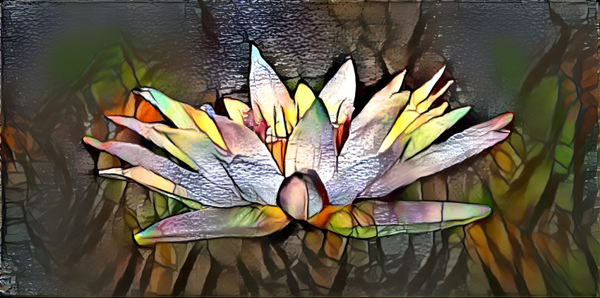 Lotus