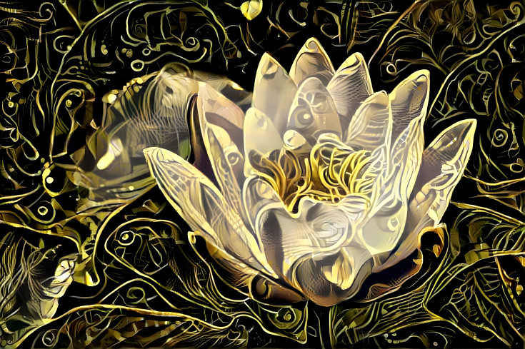 Lotus