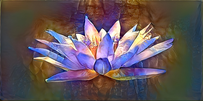 Lotus