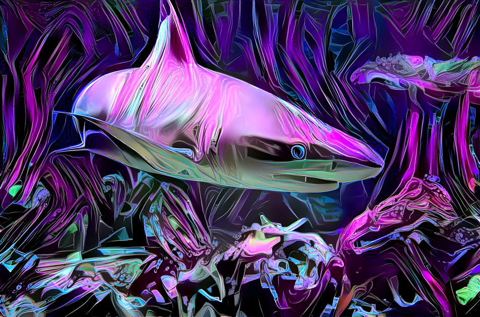 Shark