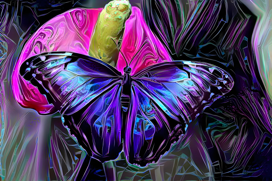 Butterfly