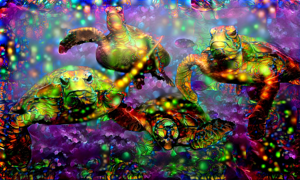 sea turtles