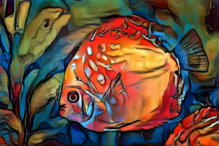 Fish