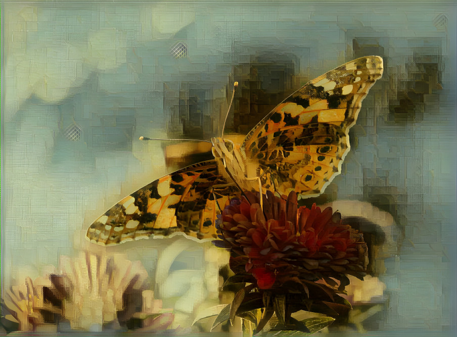 A Butterfly