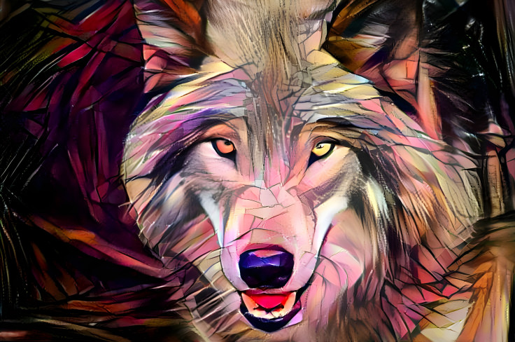 Wolf