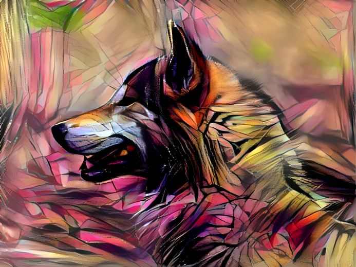 Wolf