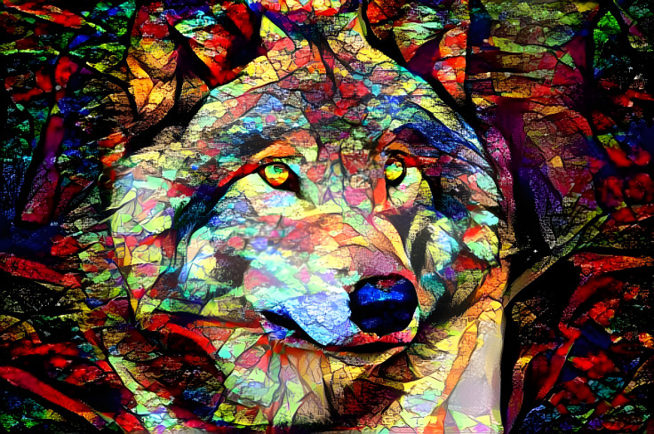 Wolf