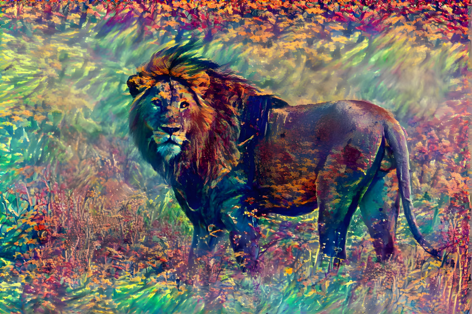 lion