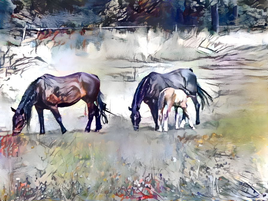 Horses