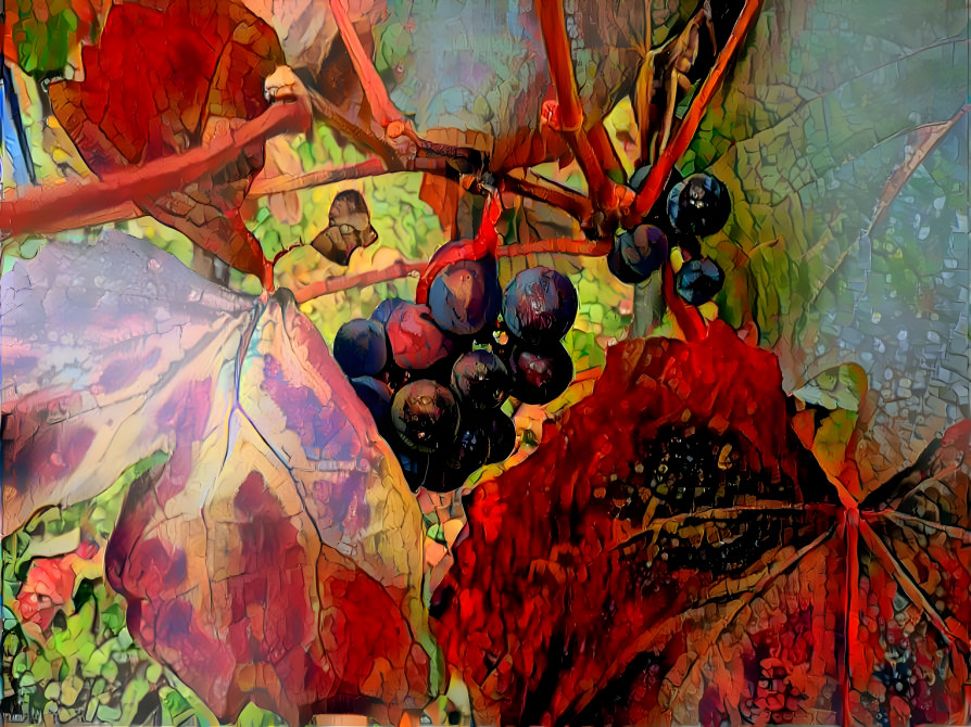 Grapes