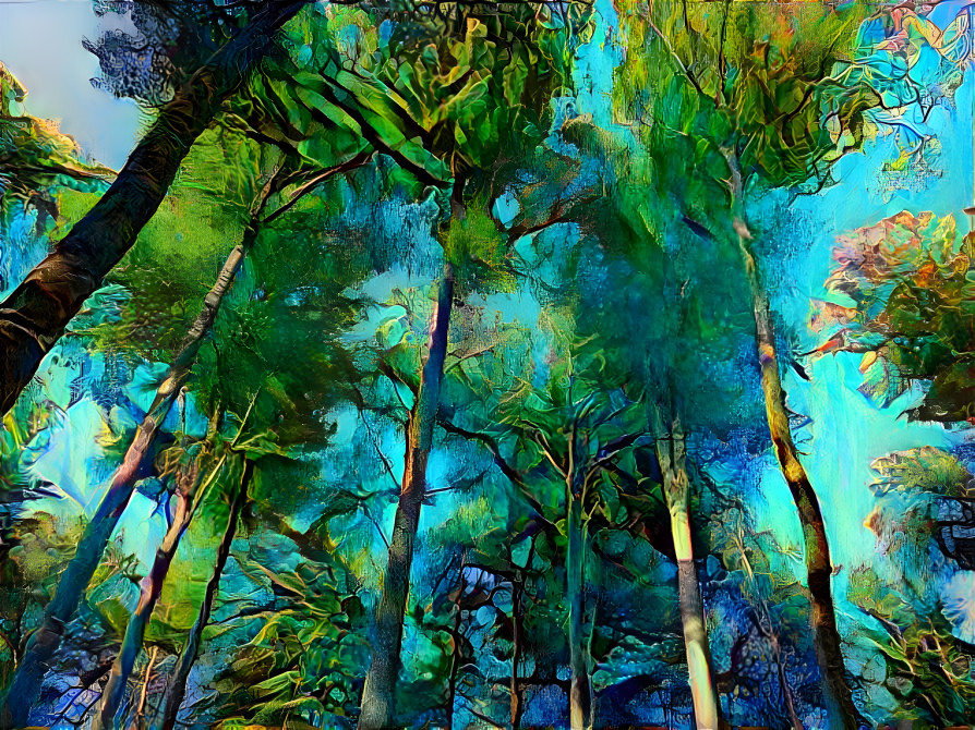 Forest