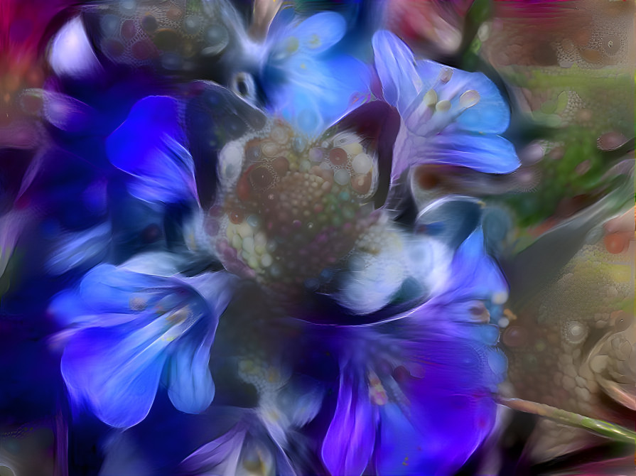 Blue Flower