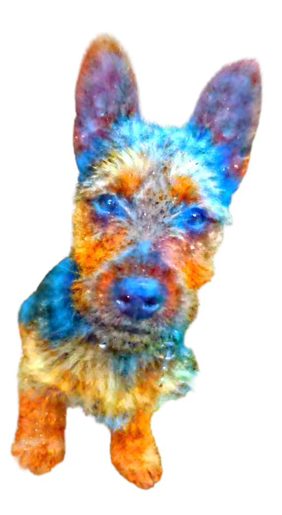 Galaxy Dog