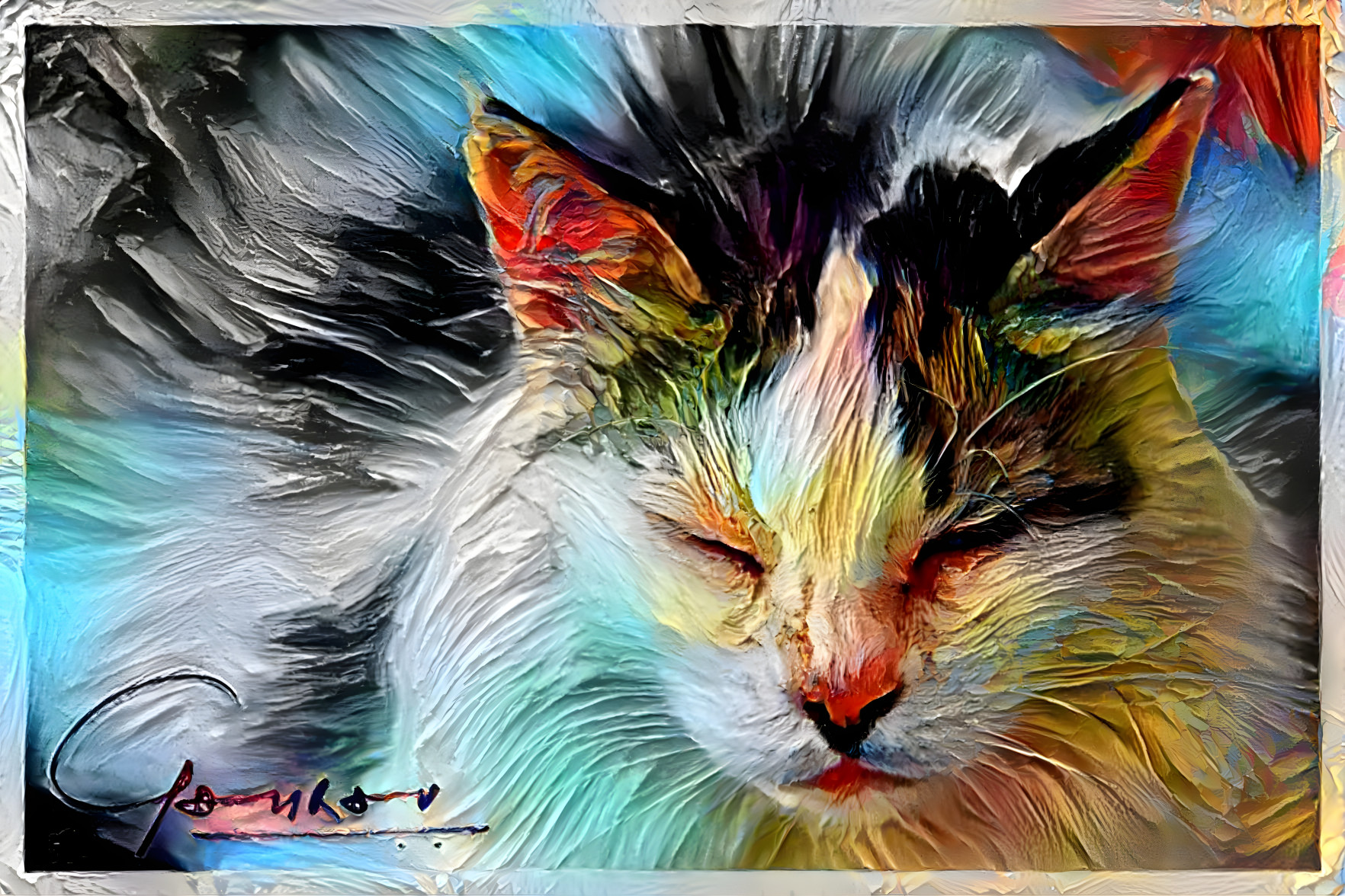 The Vibrant Cat