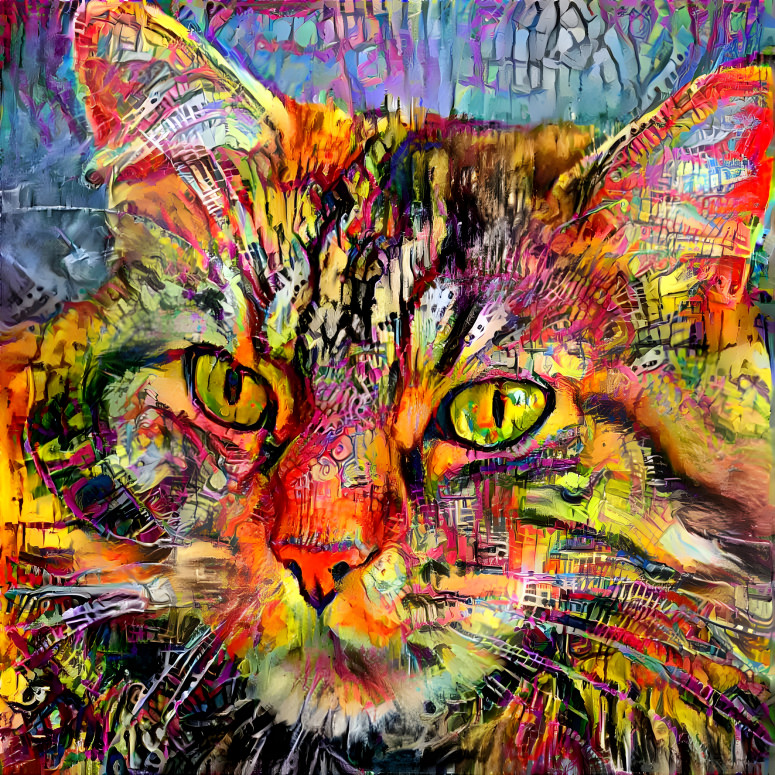 Color Cat 1