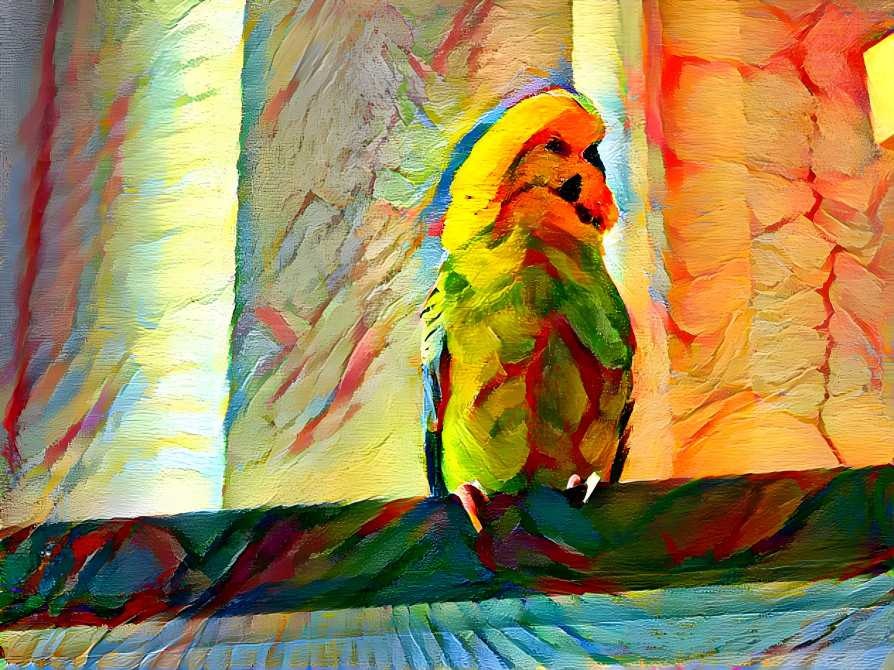 Parrot