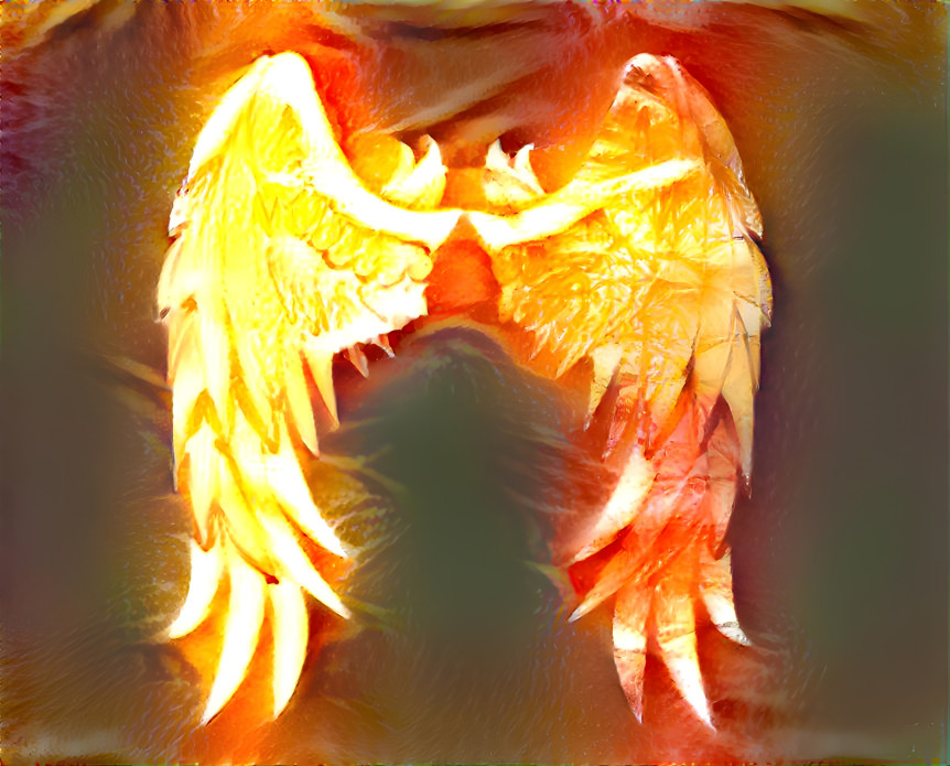 The fire wings 