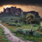 Scenic desert landscape with green shrubs and red rock formations at sunset