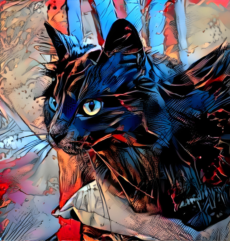 Comic Cat