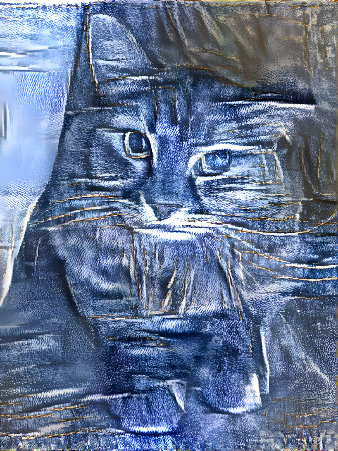 Denim Cat