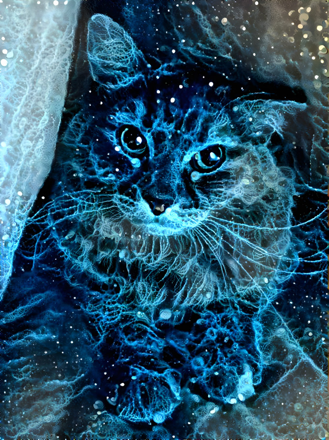 Galacticat