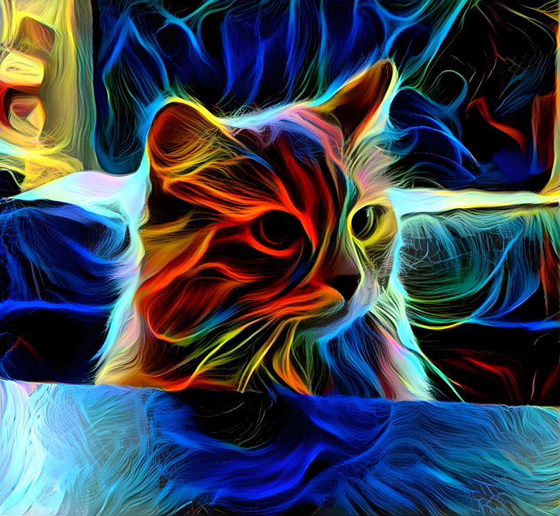 Electrikitty