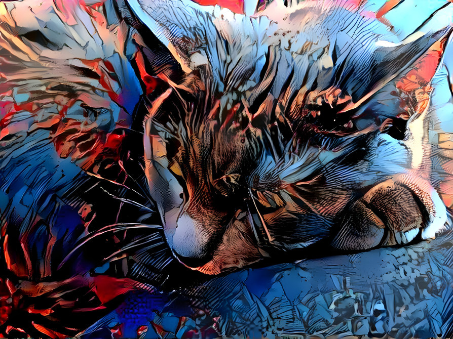 Comic Book Cat