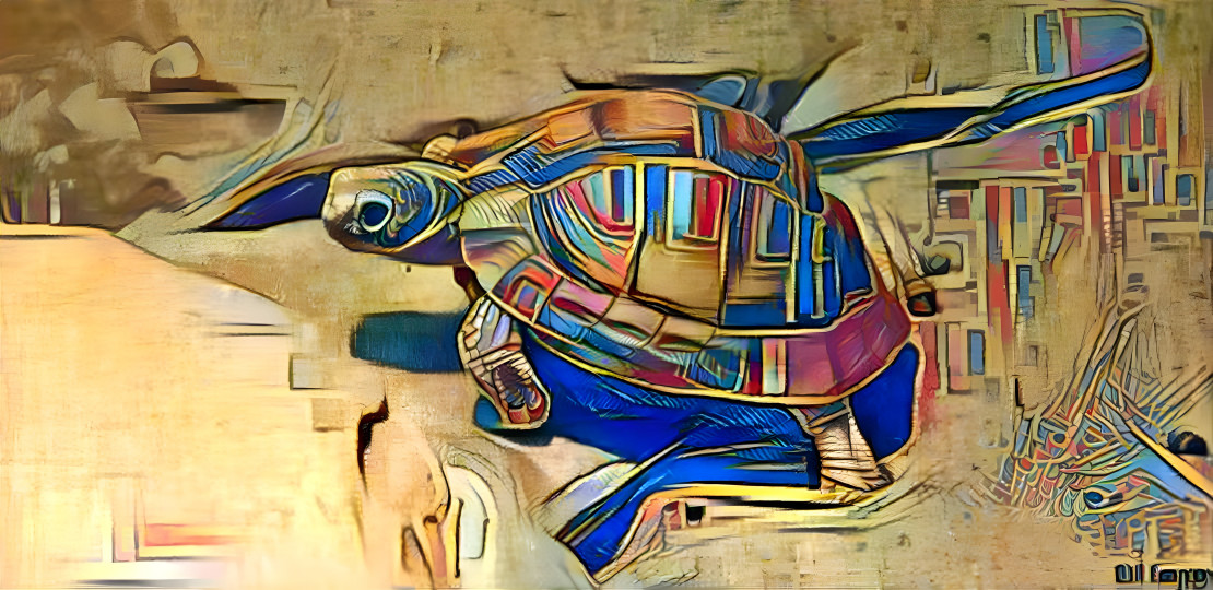 egyptian turtle