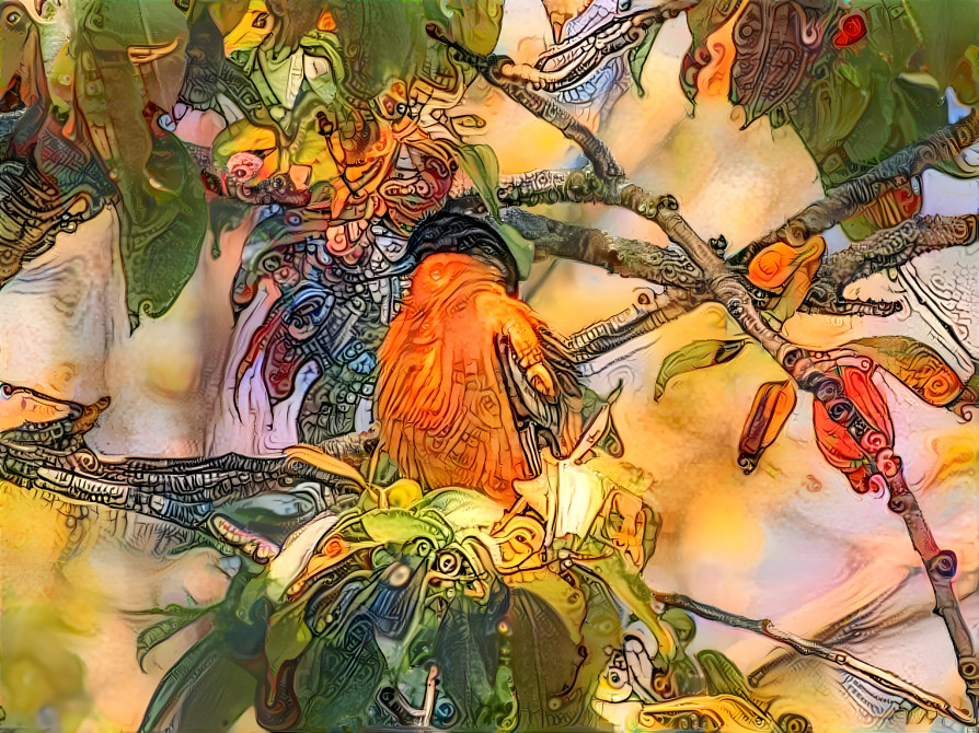 Baltimore Oriole