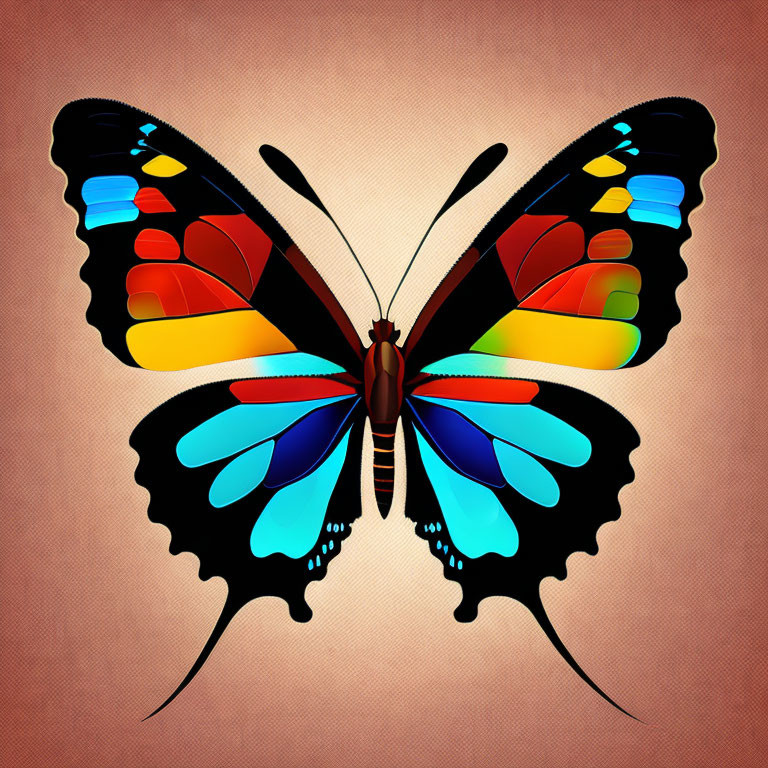 Colorful Butterfly Illustration on Peach Background