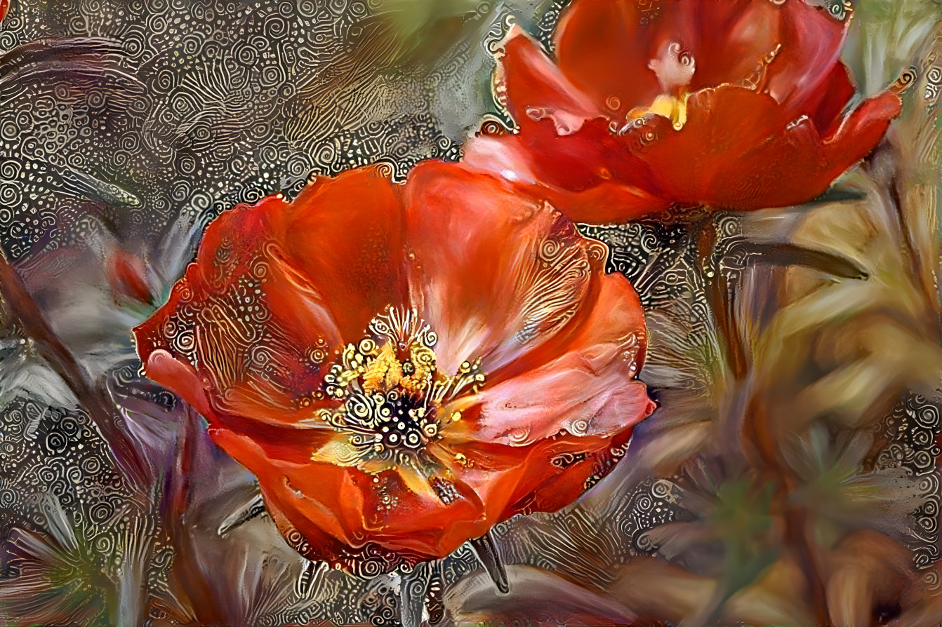 Red Hot Poppies