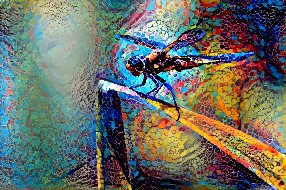 Dragonfly dreams