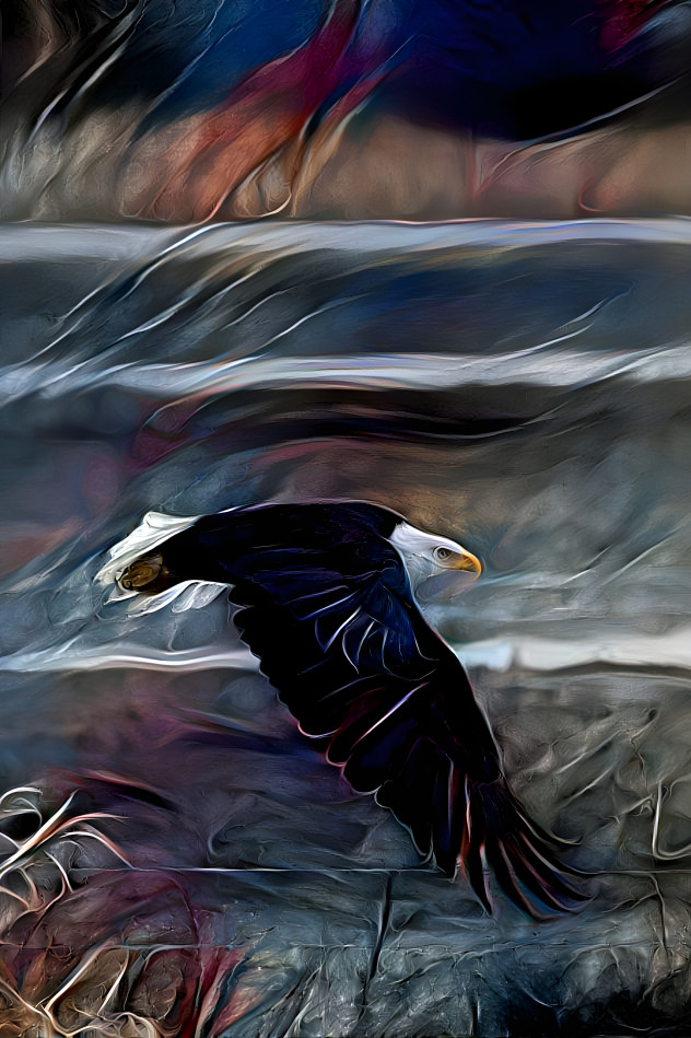 American Bald Eagle