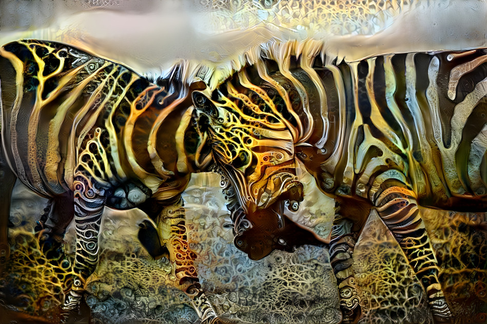 Zebra