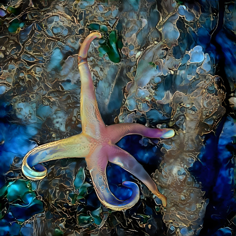 Sea Star 