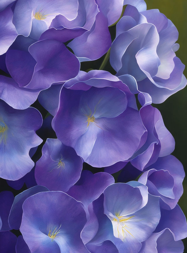 Vibrant purple petals with yellow centers on blue flowers against dark background