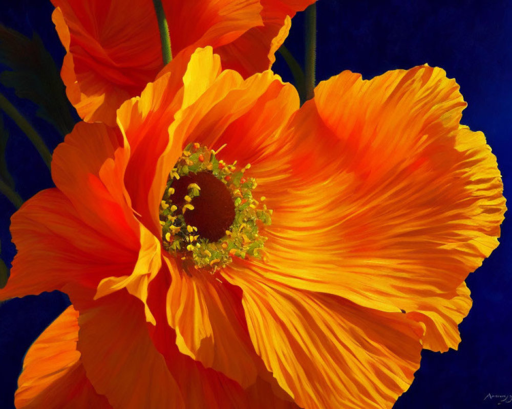 Vibrant orange poppy on deep blue background with intricate textures