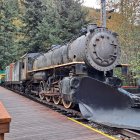 Blue vintage steam train in colorful forest with tunnel-like canopy.