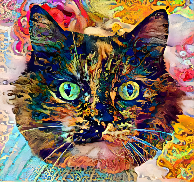 Tortie