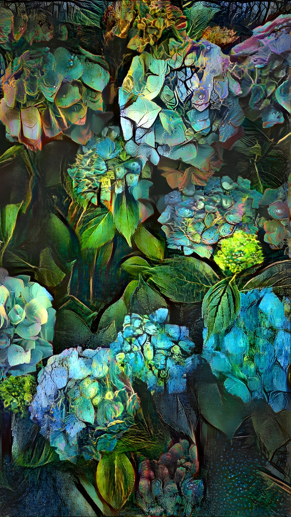 Hyped up Hydrangea 