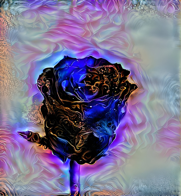 Blue Rose