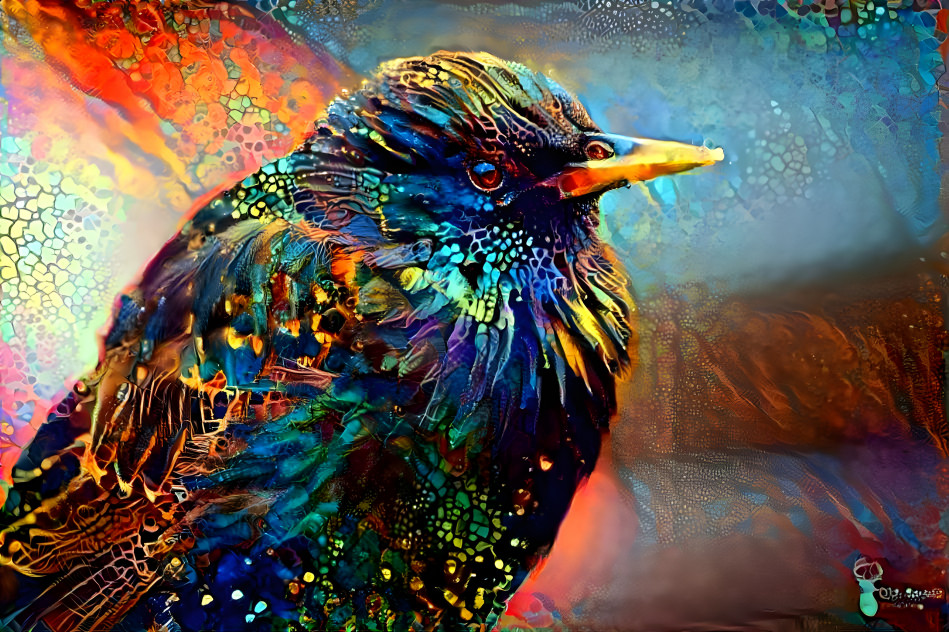 Starling