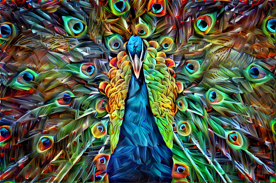 Funky Peacock