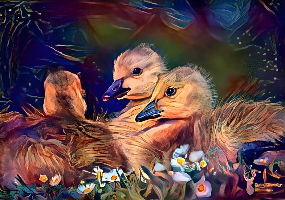 Goslings