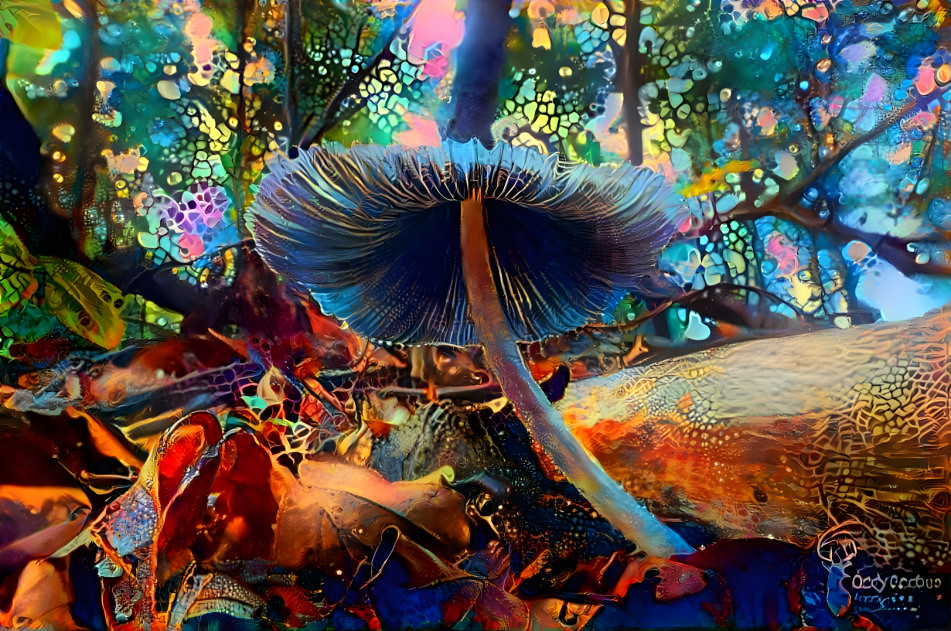 Forest Mushroom