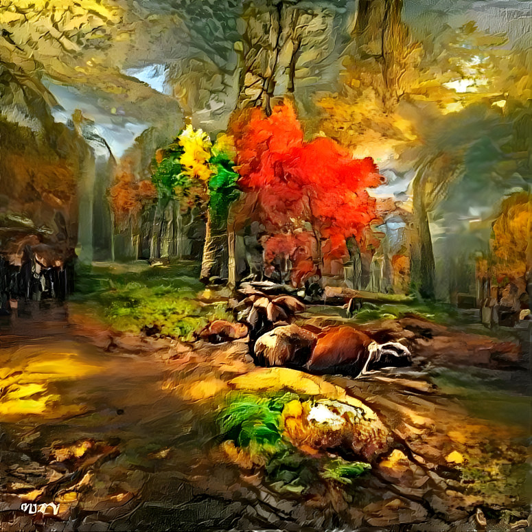 Autumn Forest