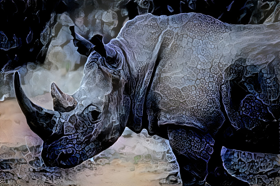 rhino